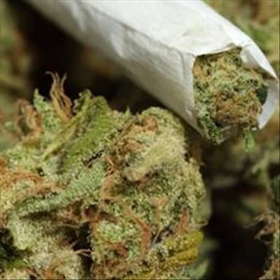 Cop who led double life as cannabis farmer jailed