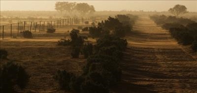 South Africa’s drought: Your burning questions answered 