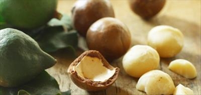 Macadamia crop estimates lower than expected 