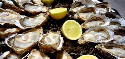 Oysters, oysters everywhere