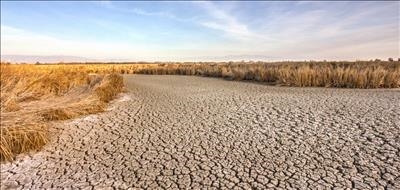 Western Cape farmers will take years to recover from drought 