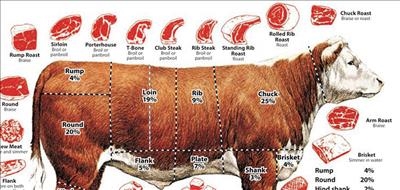 Cuts of beef and how to cook them