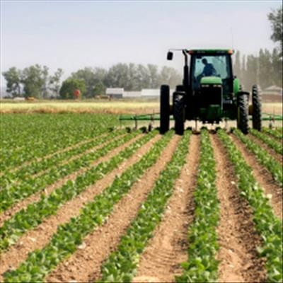 Agriculture Department goes big at George Show 