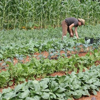 Move to help small farmers 