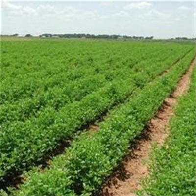 Cellular services closer to farming communities 