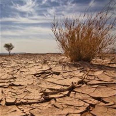 Drought: This is not a year for business as usual 