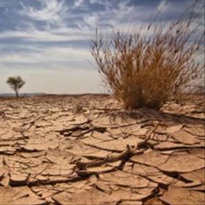 Drought: This is not a year for business as usual 