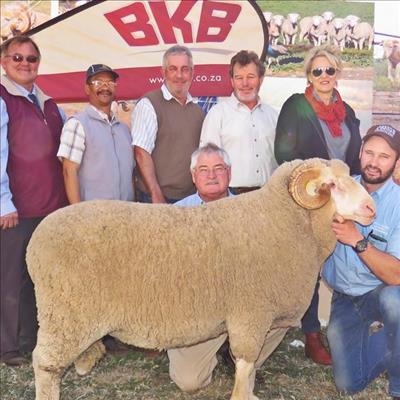 Nasionale Merinoveiling behaal 4 hoogste pryse van die jaar