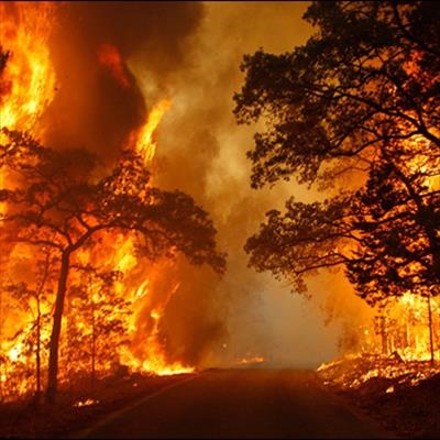 Wildfires sweep through California