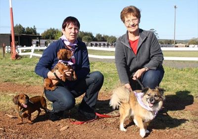 K9 event in the fight against cancer