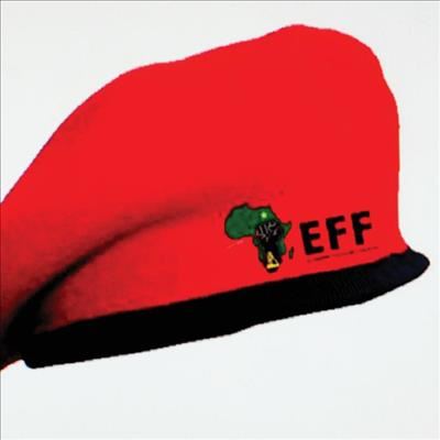 'EFF leaders expelled councillors without following proper procedure'