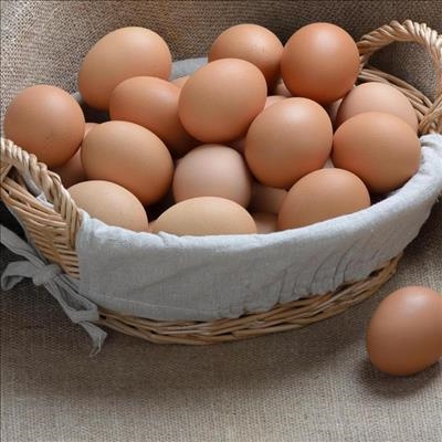 Bird flu to affect egg supply, prices
