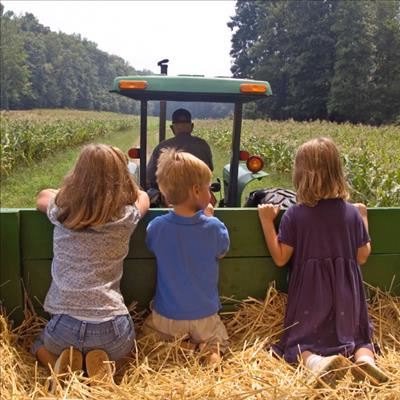 The importance of a business plan for farming
