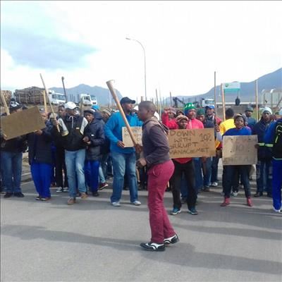 Strike at MTO Forestry