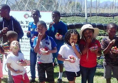 Syferkoppies beloon met aarbeie en treine