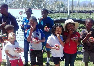Syferkoppies beloon met aarbeie en treine