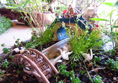 Miniature gardens delight Knysna residents