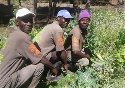 Food forest in Plett?