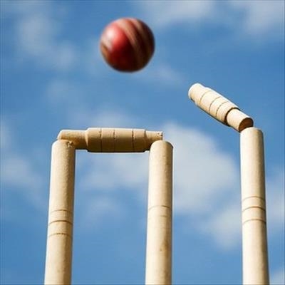 News from the cricket pitch