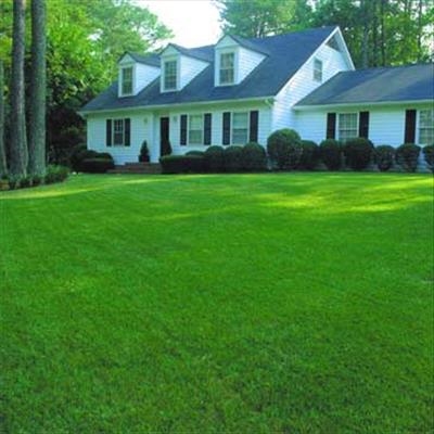 Get your lawn Summer ready