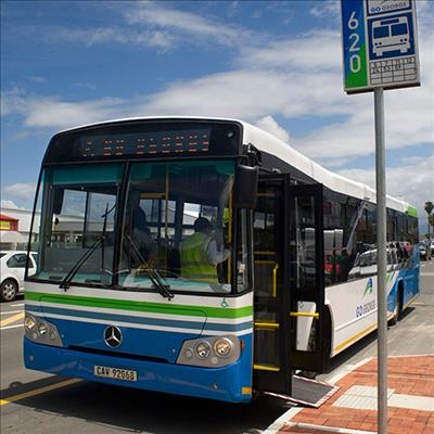 GO GEORGE routes affected by ASA race