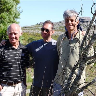 SA’s oldest apple tree stripped for firewood