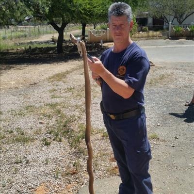 Pasop vir slange!
