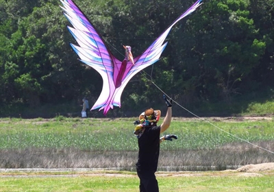 Kites leave crowd on a high