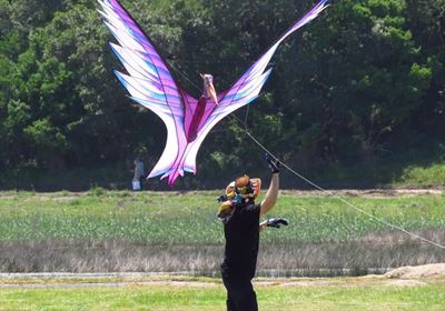 Kites leave crowd on a high