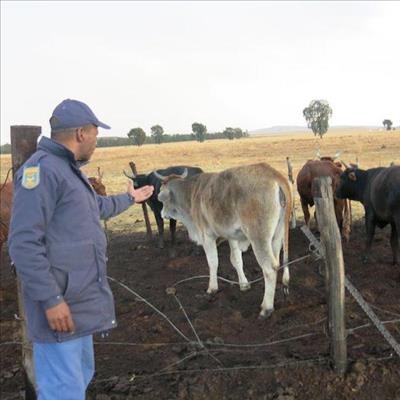 Crime stats show increase in stock theft