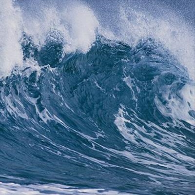 Ancient skull 'oldest tsunami victim'