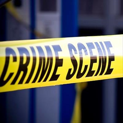 Police need help to identify pedestrian killed