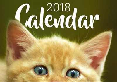 KAWS calendar a tribute to our furry friends