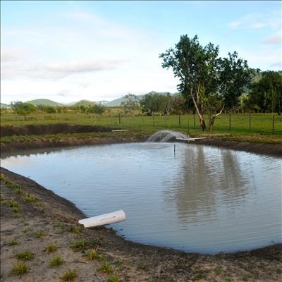 Small-scale fish farming