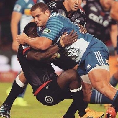 Sharks know they must tame Wilco