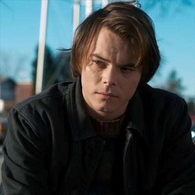 Charlie Heaton denied US entry