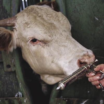 Good vaccination practices