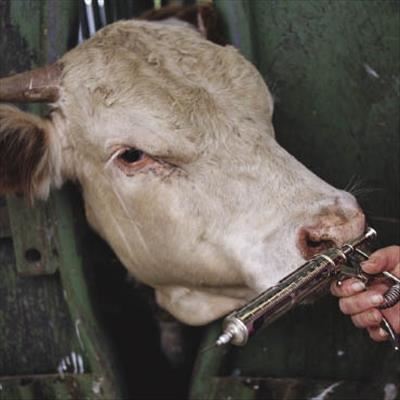 Good vaccination practices