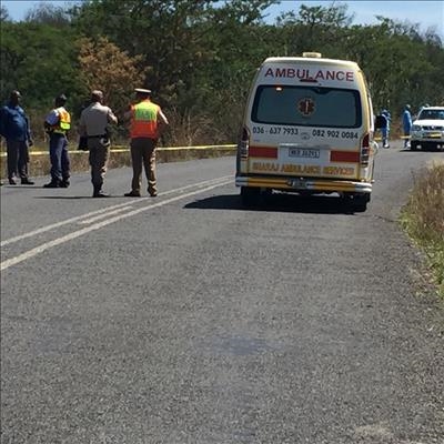 11 killed in mass shooting