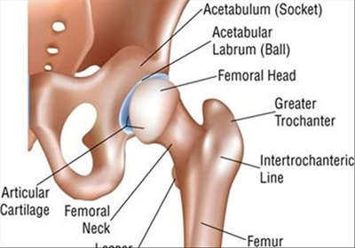 Injuries that could cause your hip pain