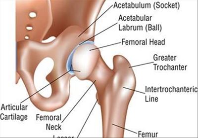 Injuries that could cause your hip pain