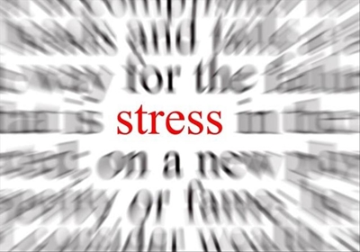 Pain and stress - the terrible twins