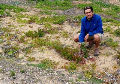 Indigenous sour fig to help fight fires