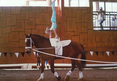 Young local crowned SA vaulting champion 