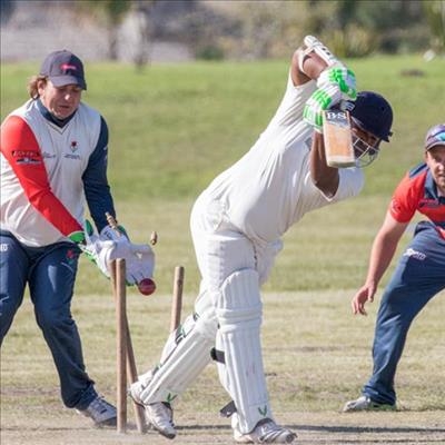 Wessel en Glenton skitter in T20-krieket vir George