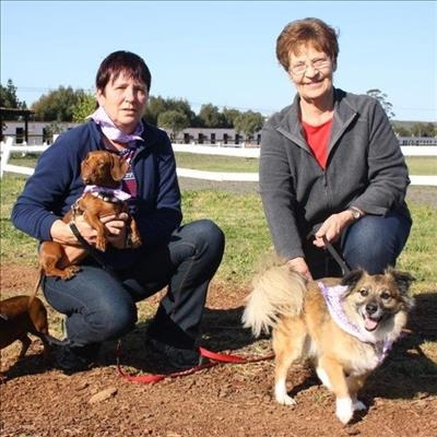 Bark against cancer