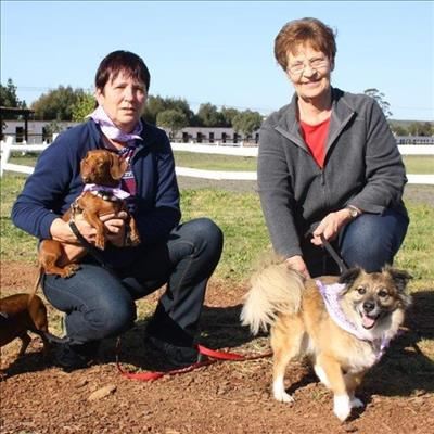 Bark against cancer
