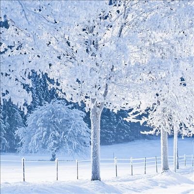 Snowfall is expected