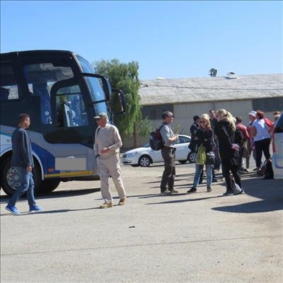 Busbestuurder vas vir dronkbestuur