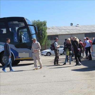 Busbestuurder vas vir dronkbestuur